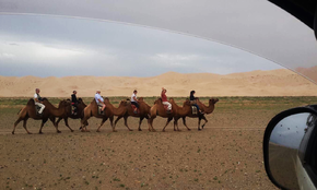 camel_riding_tour_mongolia