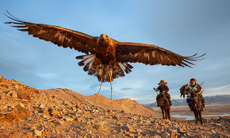 Altai Mongolia Eagle hunters