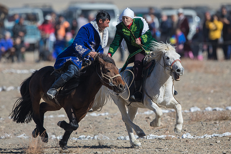 eagle catches the prey during golden eagle festival by Batzaya Choijiljav