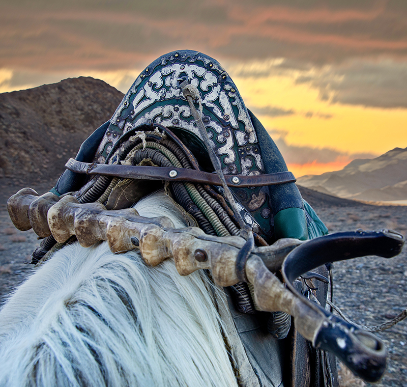 Golden Eagle Hunters Mongolia
