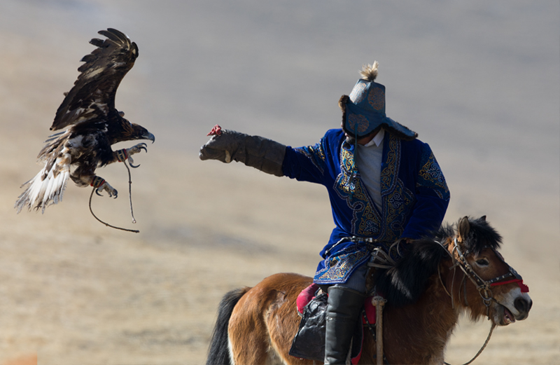 eagle calling competition at golden eagel festival mongolia