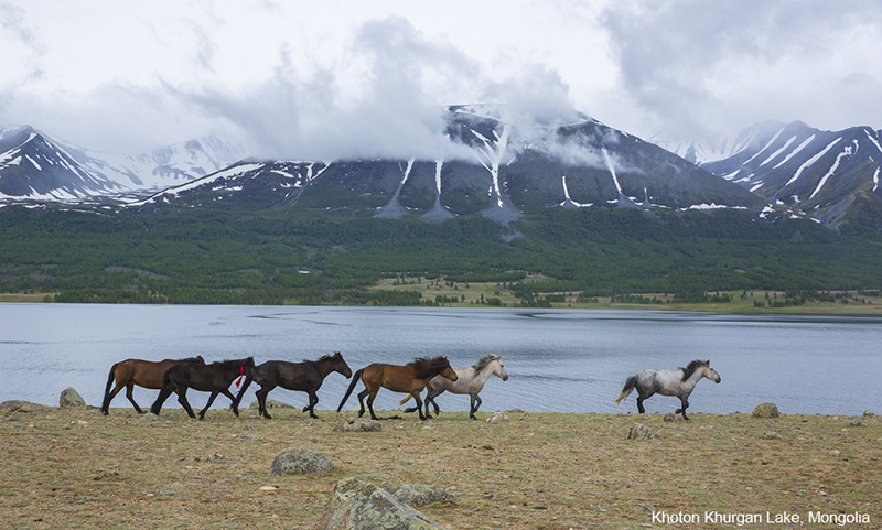 Mongolia trekking and hiking trips