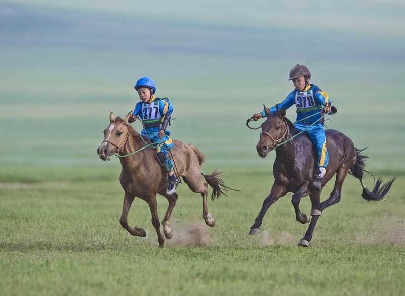 Horse racing at local Naadam Festival in Mongolia