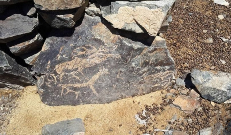 mongolia archaeological finds 