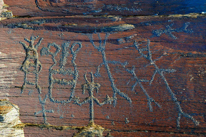 facts about Mongolian popular sport wrestling