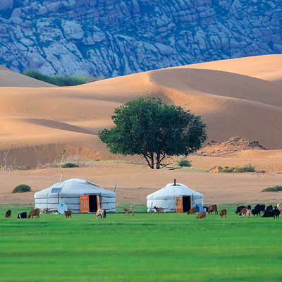 Mongolian Landscape 