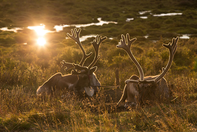 children-photos-mongolia