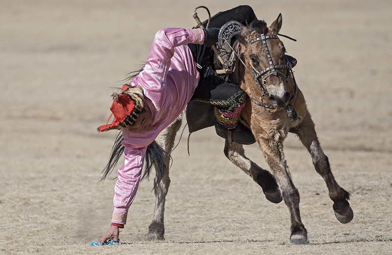 eagle hunting tradition in Mongolia