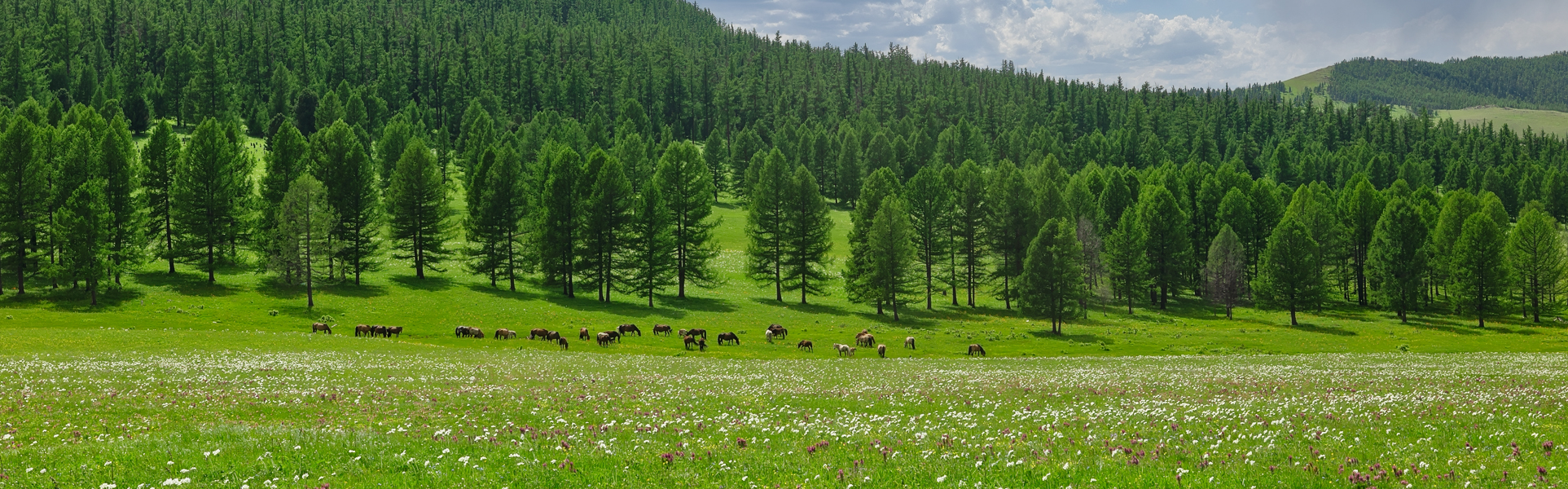 Suvarga_khairkhan_mountain