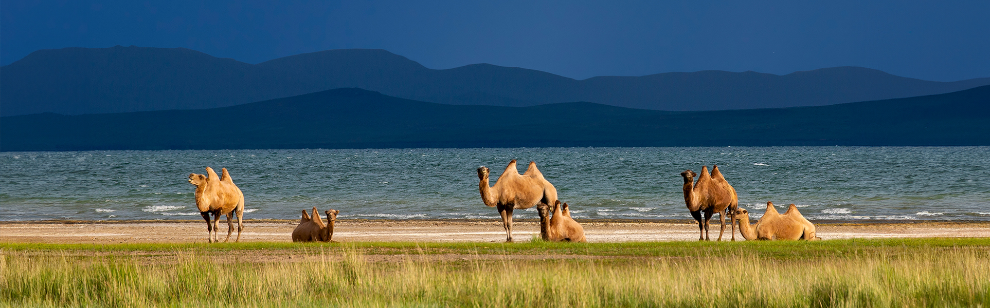 Telmen_lake_western_mongolia