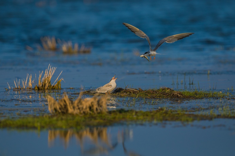 walking-lake ugii-tour