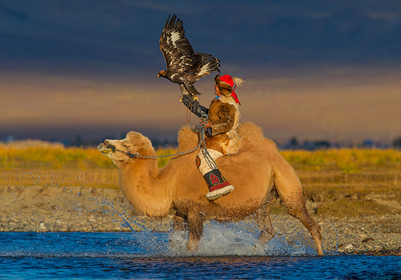 eagle_hunters_mongolia