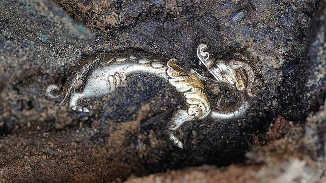 mongolia_archaeology