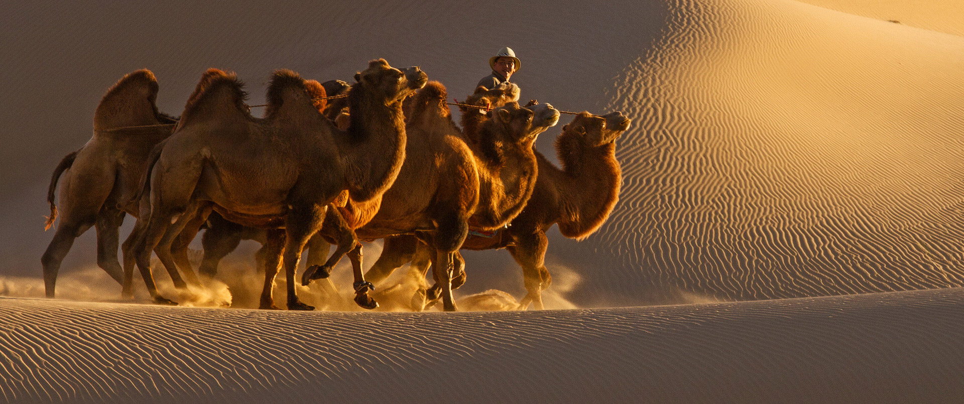 mongolia-gobi-desert-tour_camel_riding