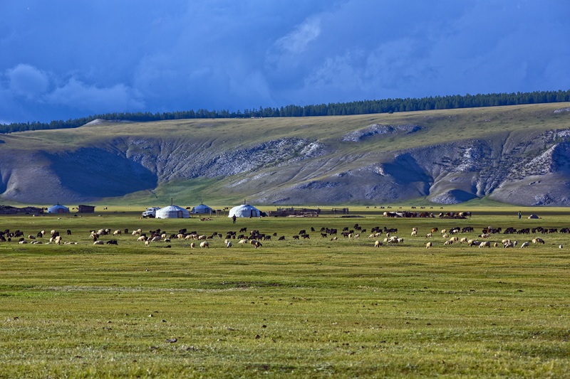 nomadic family visit in northern Mongolia