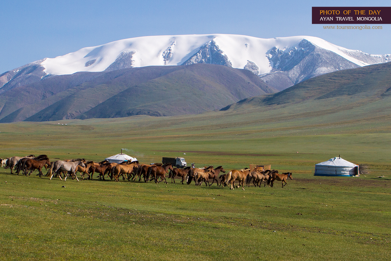 mongolia-photo-of-the-day
