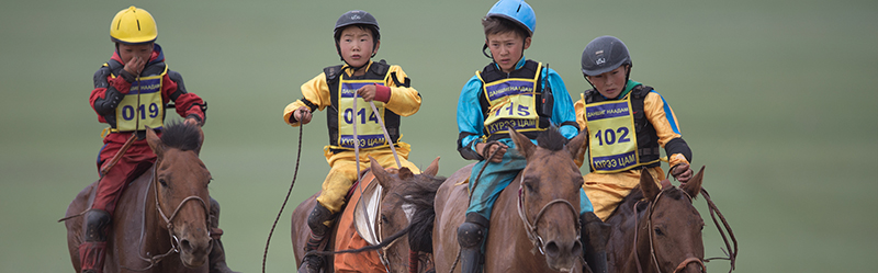 mongolian naadam
