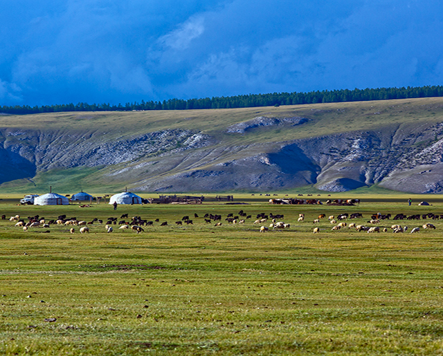 tips_for_travel_to_mongolia