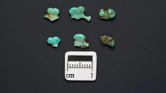 mongolia_archaeololgy_tours